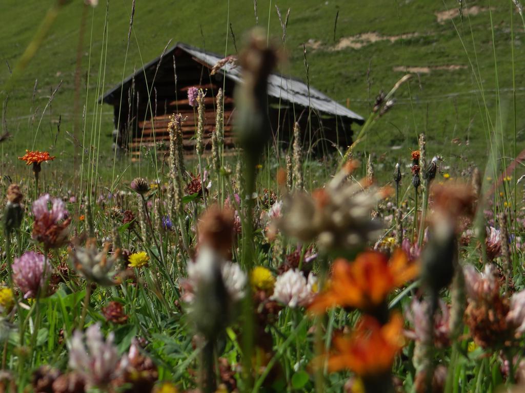 Hotel Silvretta แซร์เฟาส์ ภายนอก รูปภาพ