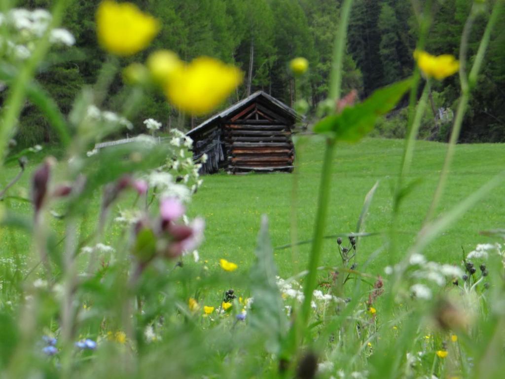 Hotel Silvretta แซร์เฟาส์ ภายนอก รูปภาพ